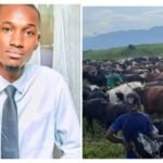 The night of Tuesday to Wednesday, December 3, 2025, was marked by another act of looting in the Irumu territory, Ituri province. More than 70 cows were stolen by suspected militiamen from the FPIC “Chini ya Kilima” armed group in Chabusiku, a village in the Tseré groupement within the Bahema chiefdom.