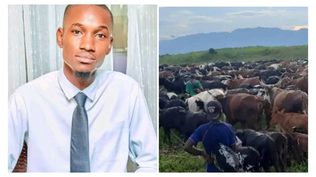 The night of Tuesday to Wednesday, December 3, 2025, was marked by another act of looting in the Irumu territory, Ituri province. More than 70 cows were stolen by suspected militiamen from the FPIC “Chini ya Kilima” armed group in Chabusiku, a village in the Tseré groupement within the Bahema chiefdom.