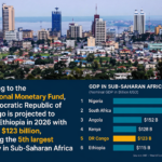 The Democratic Republic of the Congo (DRC) is on the verge of reaching a major economic milestone. According to the latest projections from the International Monetary Fund (IMF), released during the Spring Meetings in Washington, the country is expected to overtake Ethiopia in 2026 to become the fifth-largest economy in Sub-Saharan Africa.